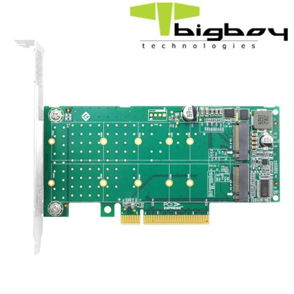 Bigboy PCIe 4.0 x4 PCIe 4.0 x8 2xM.2 2xNVMe Çevirici Ünite