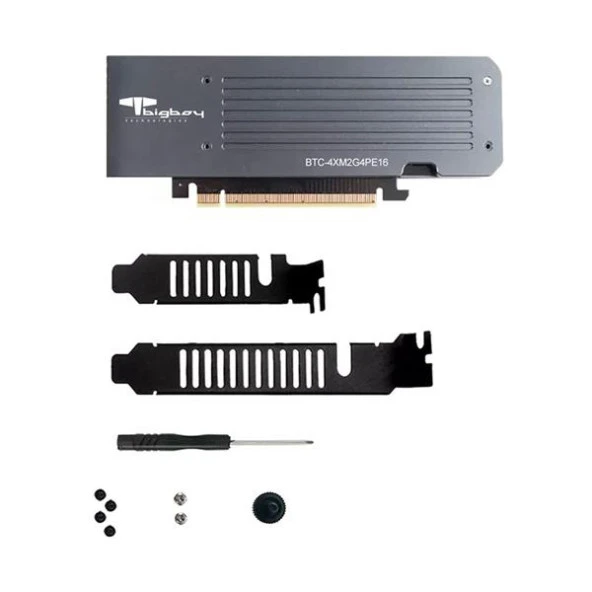 Bigboy PCIe 4.0 x4 M.2 x16 Soğutuculu 4xNVMe Çevirici Ünite - 4