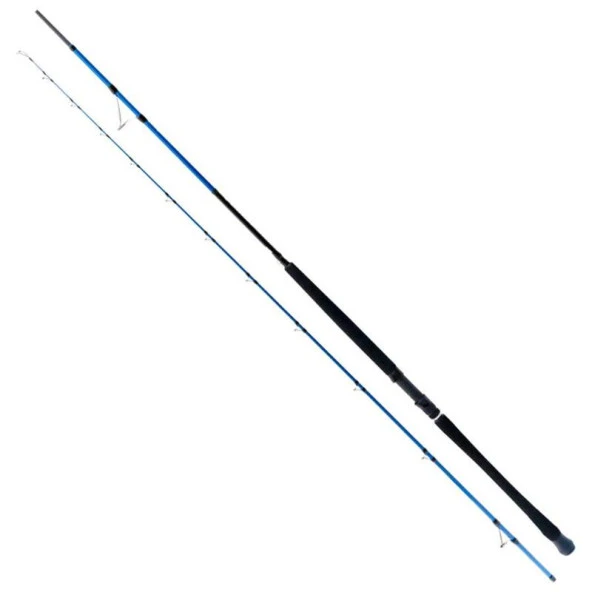 Ryuji Shore Game Fuji 285cm 25-85gr 2 Parça Shore Jig Kamış