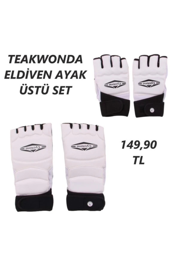 Teakwondo Eldiven & Aya Üstü Set