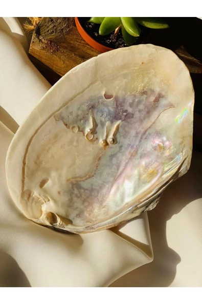 Üzerlik Ritüel Seti : Istiridye Kabuk Tütsülük - Nazara Karşı Üzerlik Tütsü Demeti - Resim 3