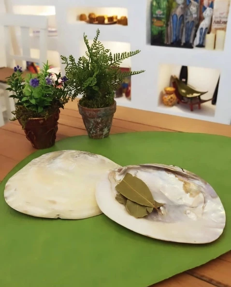 Istiridye Deniz Kabuğu Tütsülük ürün görseli