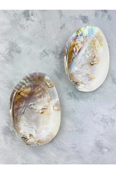 Istiridye Deniz Kabuğu Tütsülük - Resim 2