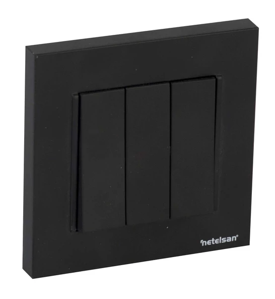 Netelsan Byobu Siyah Üçlü Anahtar + Çerçeve - 2