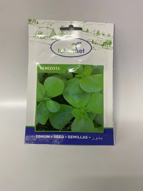 SEMİZOTU TOHUMU 10 GR