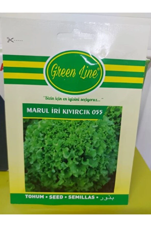 KIVIRCIK MARUL TOHUMU 10 GR