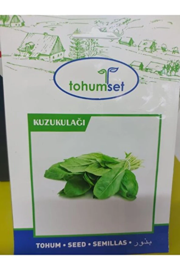 KUZU KULAĞI TOHUMU 3 GR