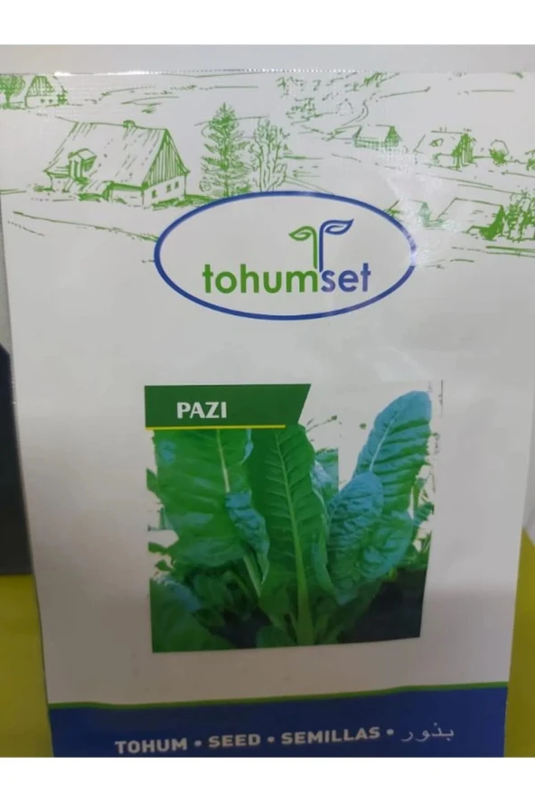 PAZI TOHUMU 10 GR