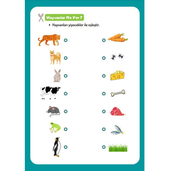 Okul Öncesi ve Birinci Sınıflar İçin Zihin Geliştiren Aktivite YAZ-SİL Kitabı - Resim 2