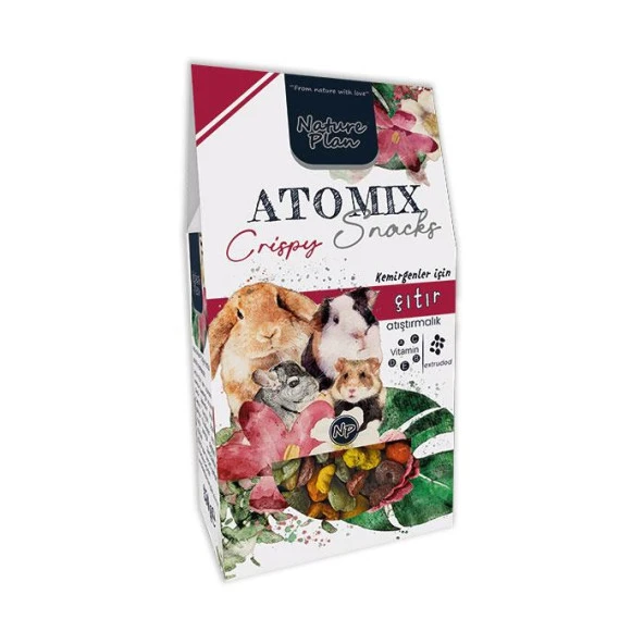 Nature Plan Atomix Snacks Çıtır Atıştırmalık 250 Gr