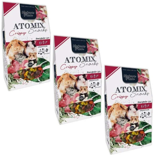 Nature Plan Atomix Snacks Çıtır Atıştırmalık 250 Gr - 3 Adet