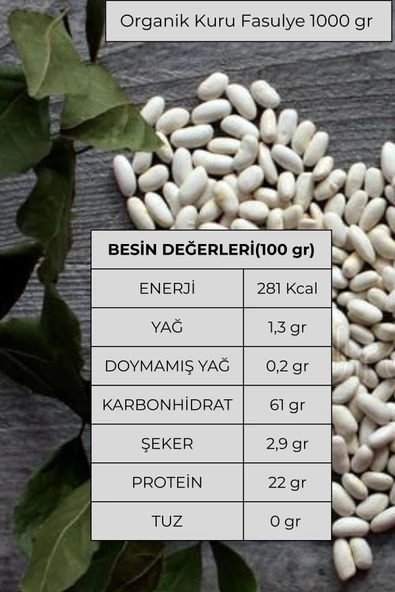 Organik Kuru Fasulye 500 gr - 3