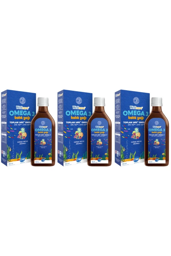 Omega 3 Fish Oil Karışık Meyve Aromalı Balık Yağı 150 Ml 3 Kutu