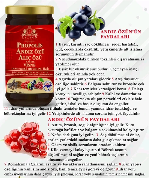 Lexton Propolis Andız Özü Katkılı Vişne Aromalı Keçi Boynuzu Özü 640 Gr 8680713316968 - 2