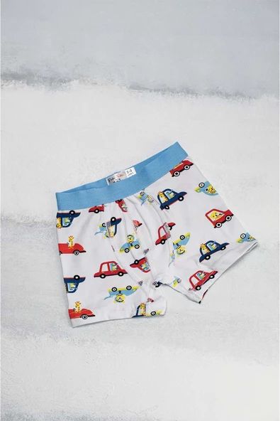 Erkek Çocuk Boxer Desenli - 5