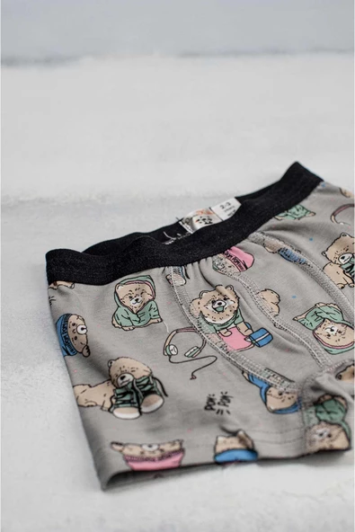 Erkek Çocuk Boxer Desenli - 8