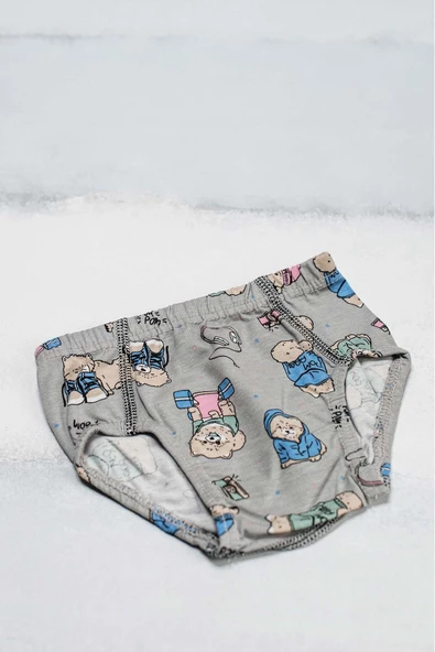 Erkek Çocuk Slip Külot Desenli - 4