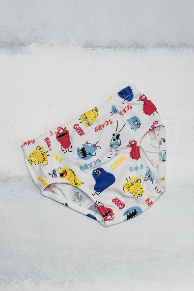 Erkek Çocuk Slip Külot Desenli - 8