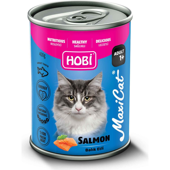 Hobi Maxicat Somonlu Kedi Konserve 400 gr