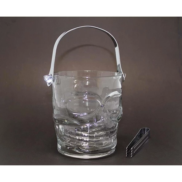 Cam Kurukafa Buzluk - Resim 2