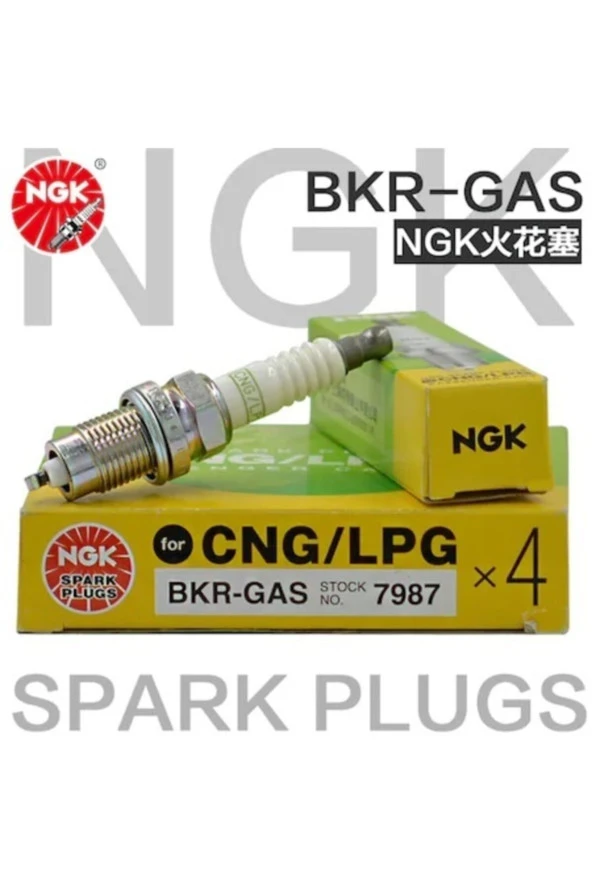NGK  Honda Cıvıc Lpg Buji Takım (Takım 4 Adet)