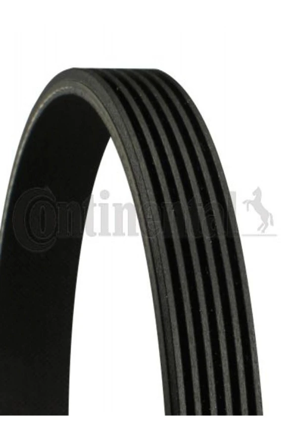 CONTITECH  Contı 6pk1310 Kanallı Kayış Palıo-albea -doblo 1.3 Jtd 16v 04 Astra H 1.3 Cdti/focus Iı 1.8 06 ürün görseli