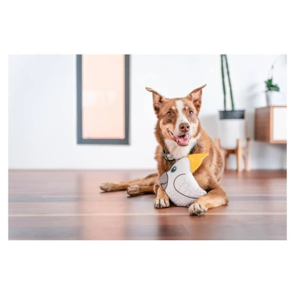 Reddingo Dayanıklı Yumuşak Köpek Oyuncağı - Kakadu Papağanı - 2