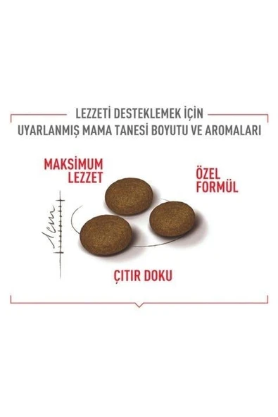 Royal Canin Fussy Exigent Seçici Kedilere Özel Yetişkin Kedi Maması 10Kg - Resim 5