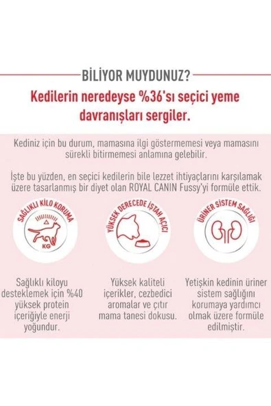 Royal Canin Fussy Exigent Seçici Kedilere Özel Yetişkin Kedi Maması 4Kg - Resim 4