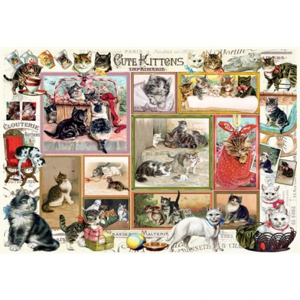 Anatolian 2X500 Prç Sevimli Kediler - 2