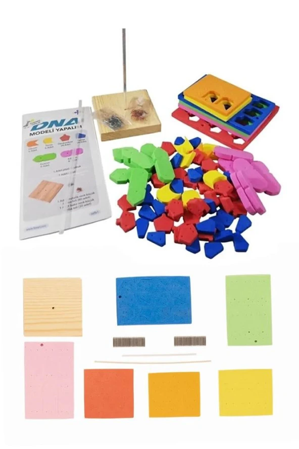 Dna Modeli 1 Paket Evadan DNA Yapım Seti Dna Saemalı Deney Yapım Seti Okul Materyali - 5