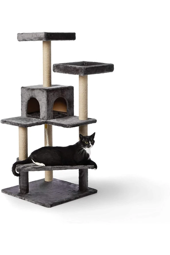 Amazon Kedi Tırmalama Evi Platformu