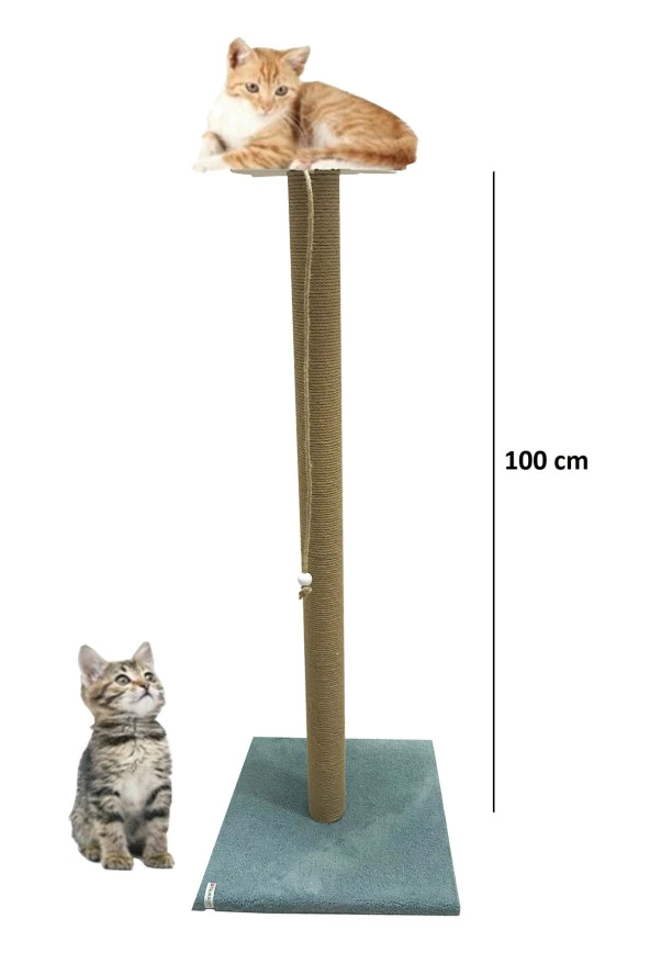 Büyük Kedi Tırmalama Tahtası 100 Cm Turkuaz