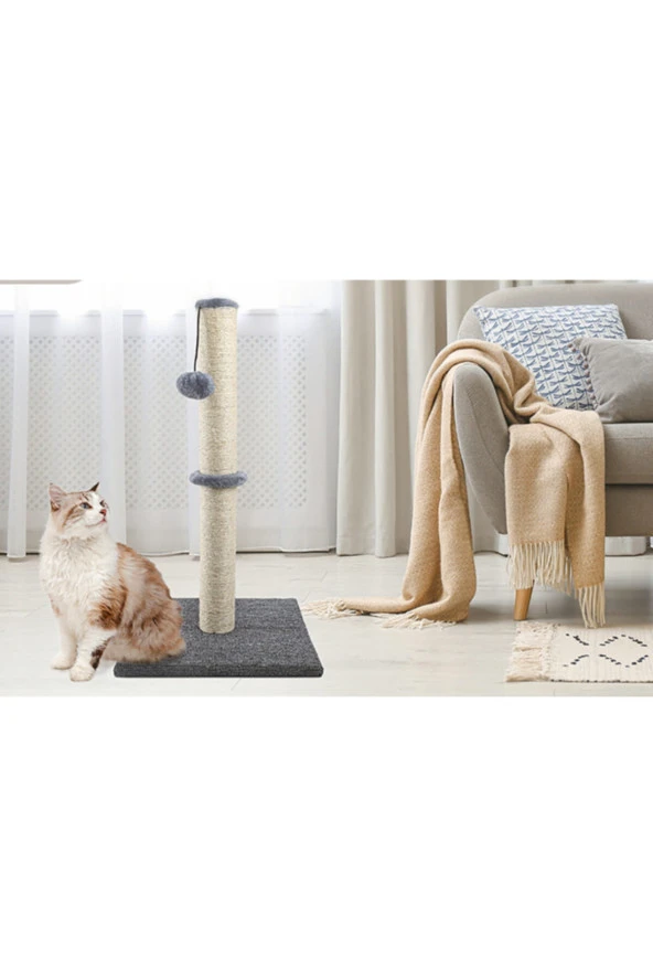 Xl Kedi Tırmalama
