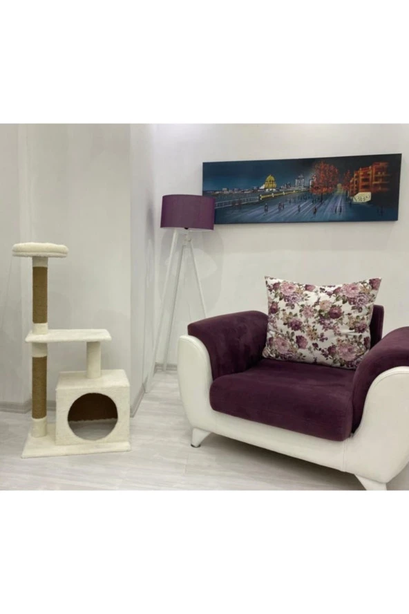 Kedi Oyun Evi Ve Tırmalama Tahtası