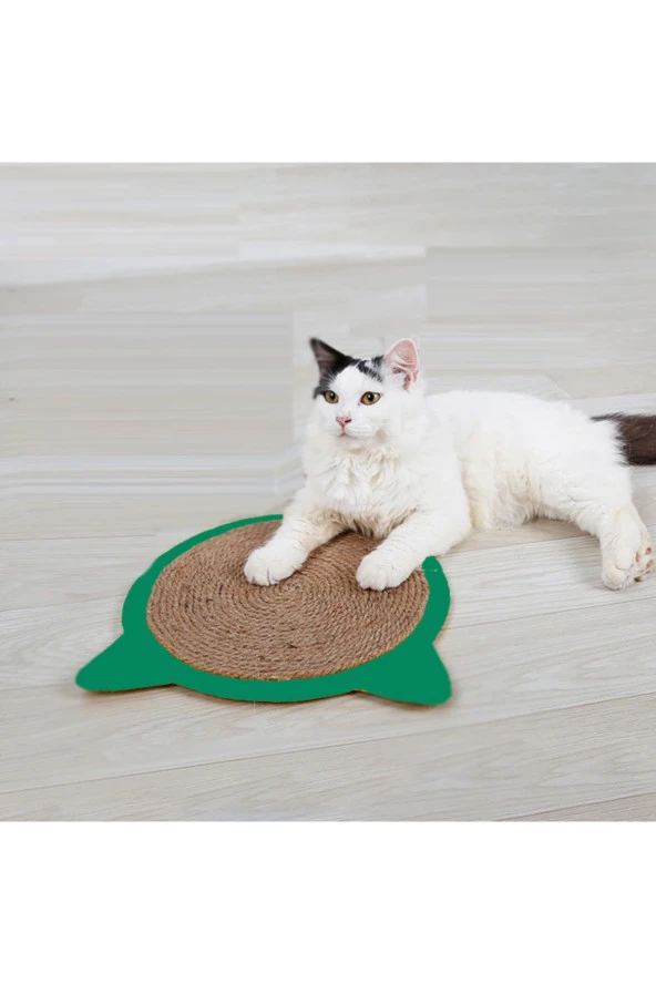 Kedi Tırmalama Halısı