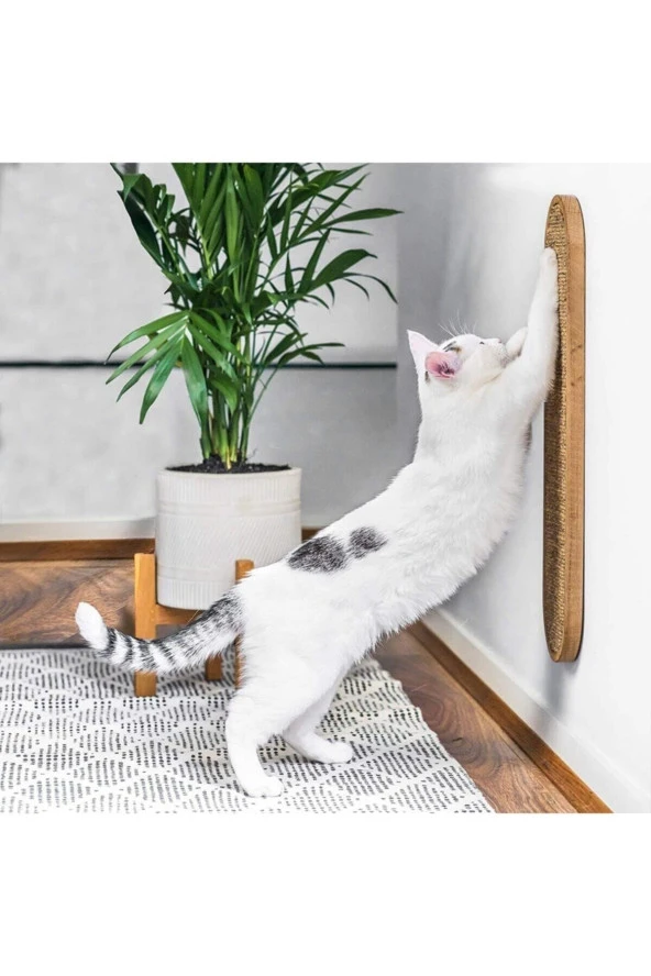 Duvara Monte Edilebilir Ahşap Kedi Tırmalama Tahtası - Resim 3
