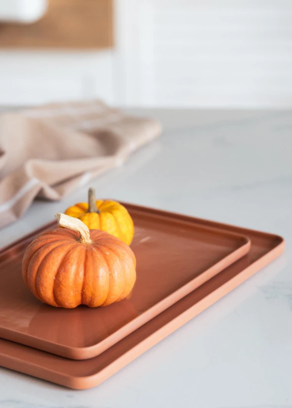 The Mia Cotta Limoges Servis Tabağı Terracota 28x20 cm - Resim 3