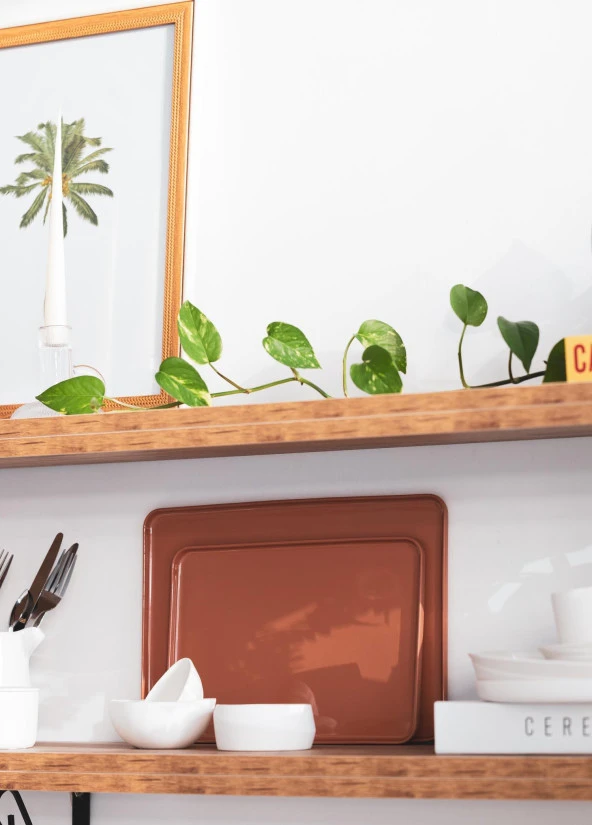 The Mia Cotta Limoges Servis Tabağı Terracota 28x20 cm - Resim 4