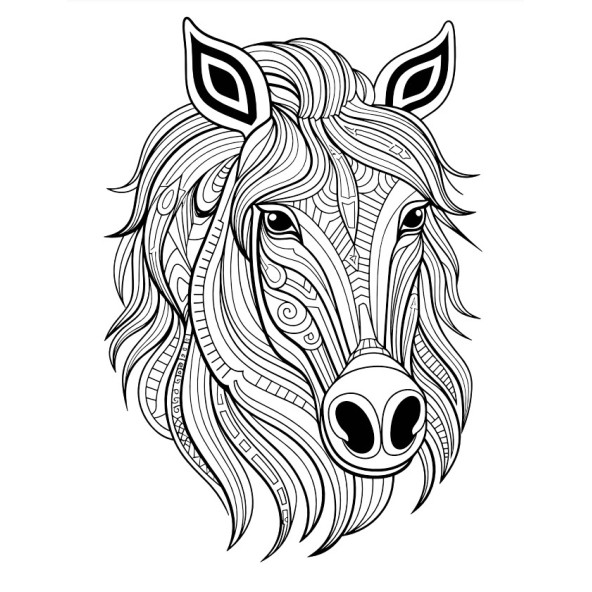 Süper Ötesi Hayvanlar MANDALA Kitap Seti (4 Kitap) - 2