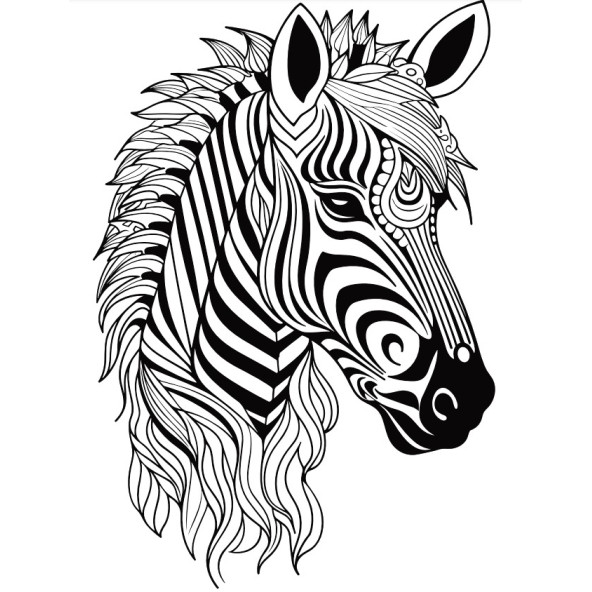 Süper Ötesi Hayvanlar MANDALA Kitap Seti (4 Kitap) - 3