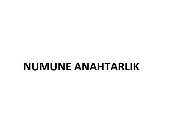 Numune Anahtarlık