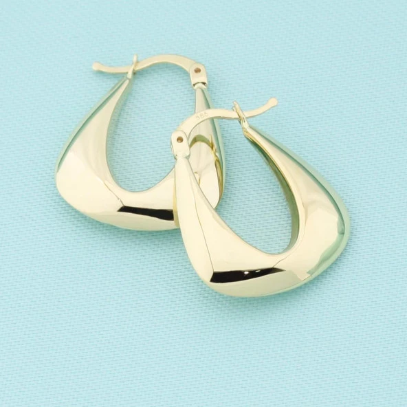 14 Ayar Altın Halka Küpe - 5