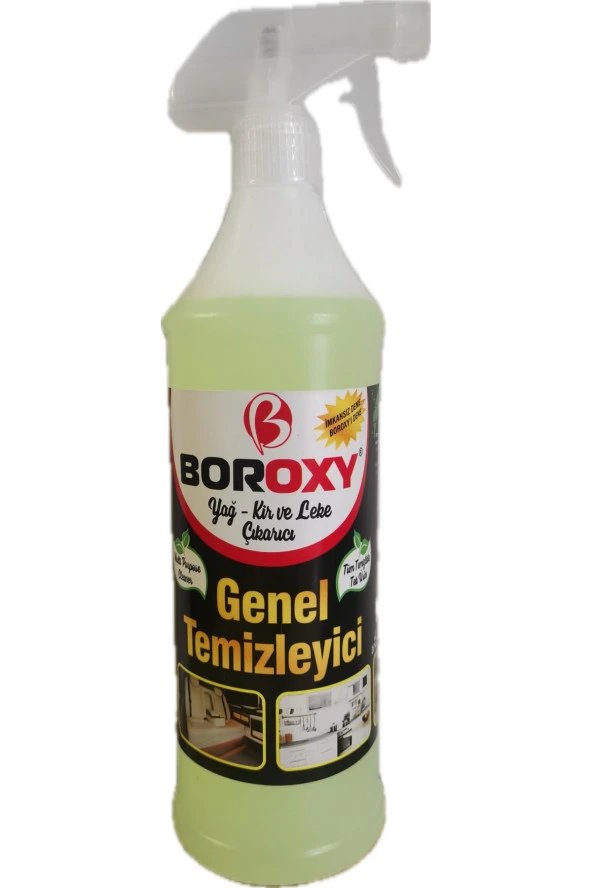 Boroxy 750 Ml Genel Temizleyici Yağ Kir ve Leke Çıkarıcı