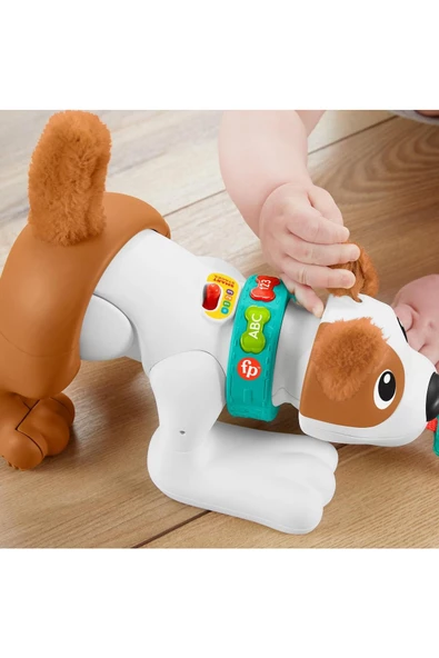 EMEKLEMEYİ VE SAYMAYI ÖĞRETEN KÖPEKÇİK CANDA - 2