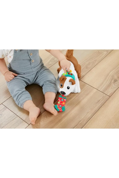 EMEKLEMEYİ VE SAYMAYI ÖĞRETEN KÖPEKÇİK CANDA - 6