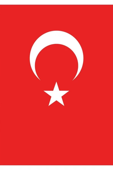 50*75 POLYESTER BAYRAK