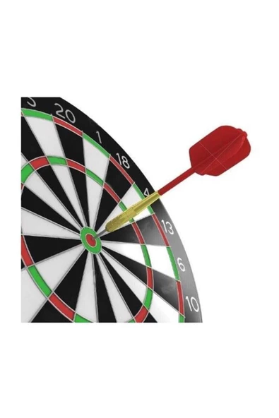 1421X DART ÇİVİLİ - 2