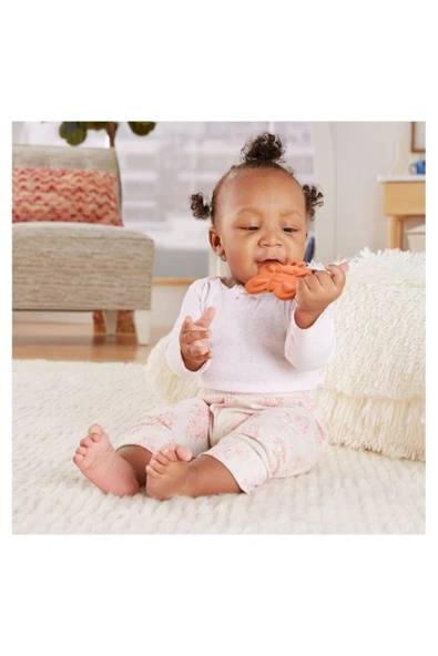 SEVİMLİ DİŞLİK - 2