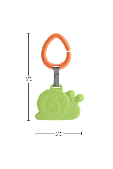SEVİMLİ DİŞLİK SALYONGOZ - 2